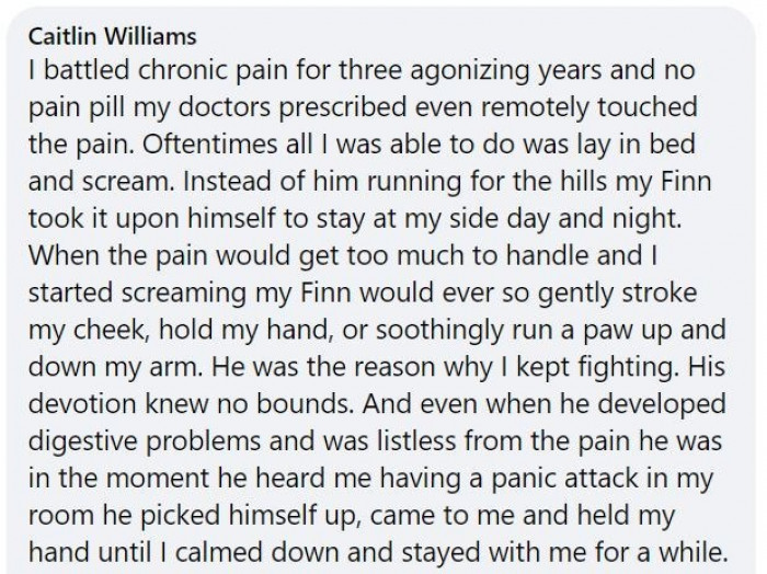 4. Kitty soothes her mom's pain with her paws.