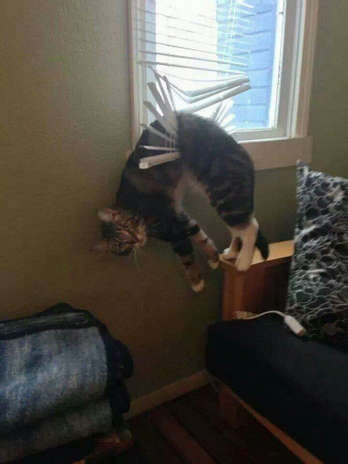 17. I'm stuck! Send help!
