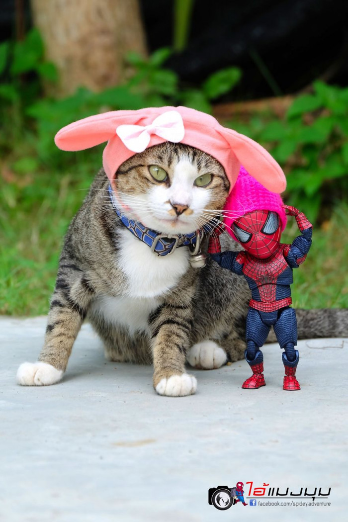 Cat Loving Artist Combines Cats with Marvel Into Hilarious Creations