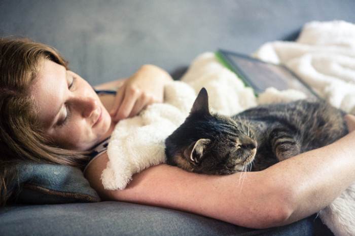 3. Lower stress? All you need is purrs.