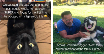 Wholesome Rescue Pet Photos That Will Make You Want To Rescue A Furbaby Of Your Own