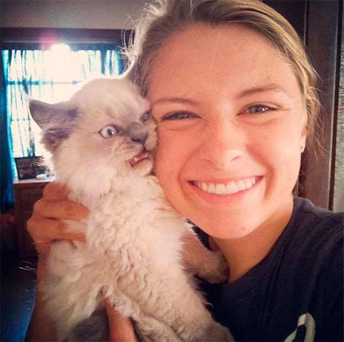 1. "Let's Take a Selfie" but the kitten says, "No."