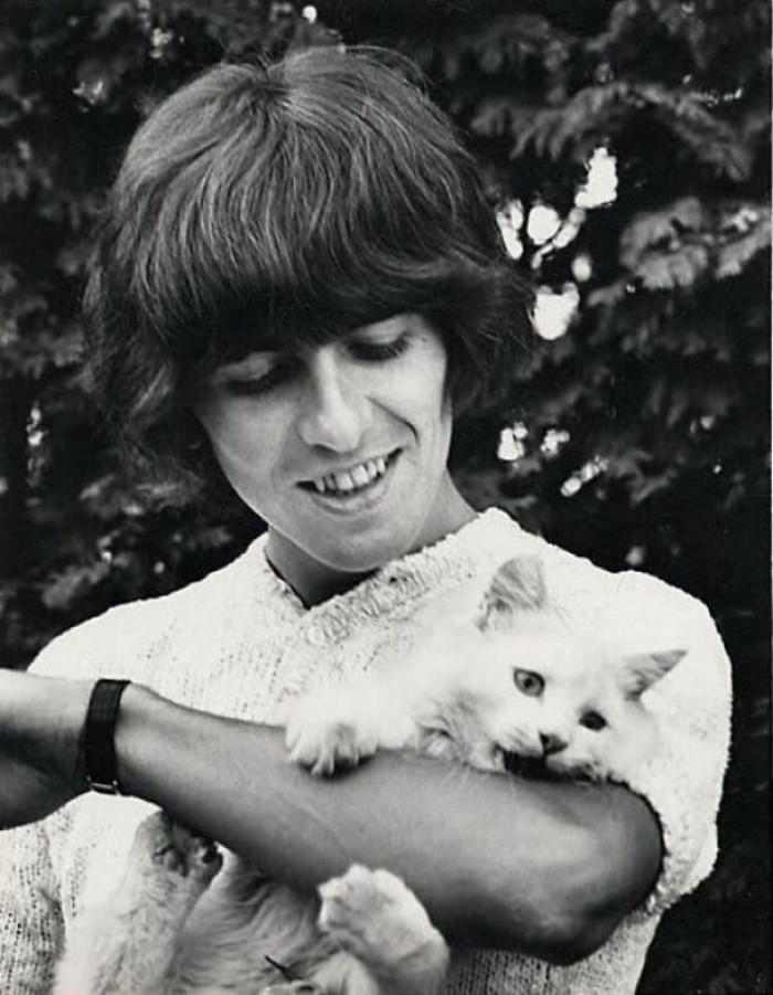 3. George Harrison, The Beatles