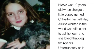 Young Woman Adopted A Dog From A Shelter And Discovered That He Was Her Long Lost Dog