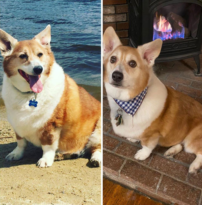 "I’m Actually A Smaller Noah Than I Was 3 Years Ago, But With The Same Huge Personality."