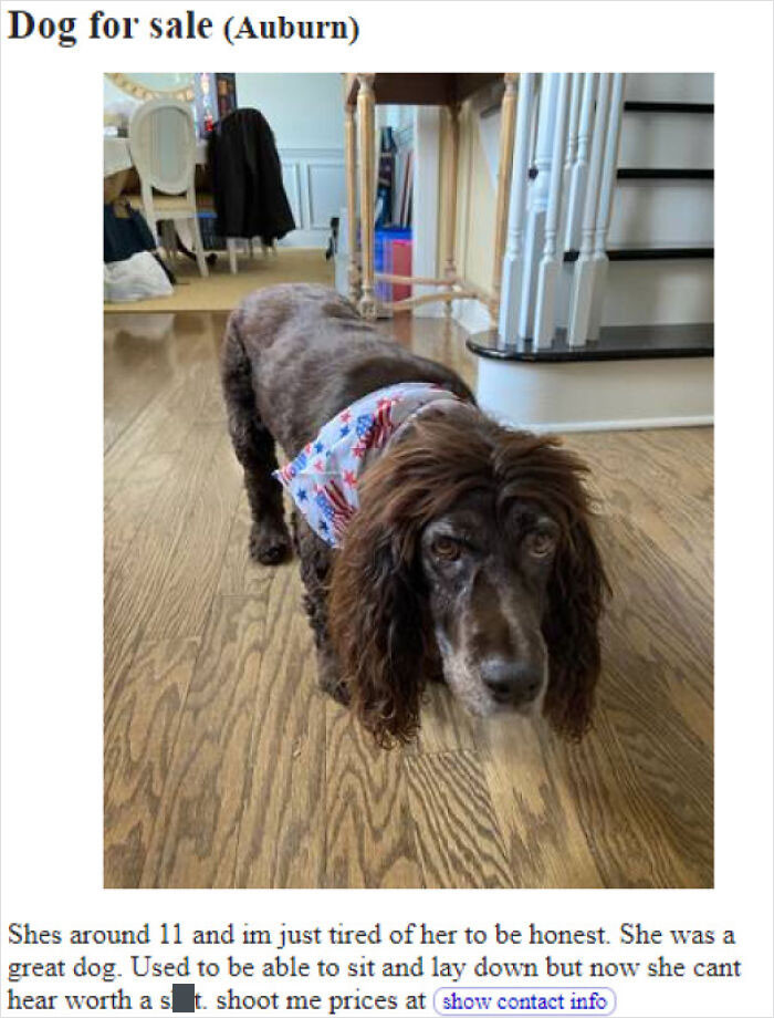 36. This owner wants to get rid of their dog because she's no longer how she used to be. How irresponsible is that?