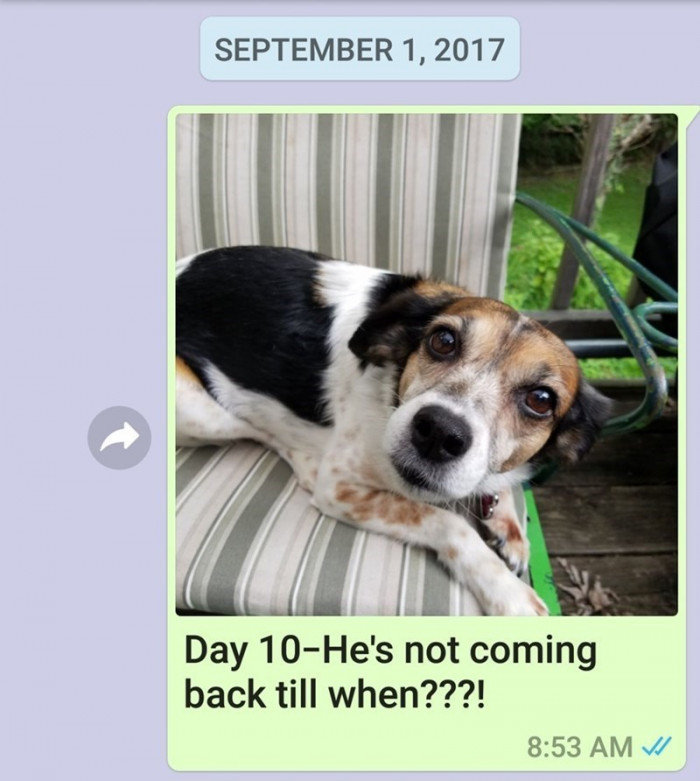 Day 10.