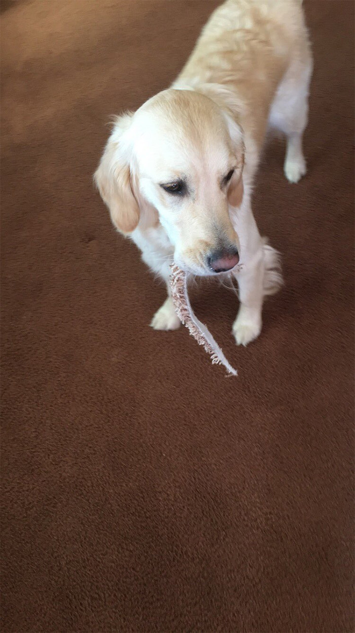 16. Anything will do the trick!