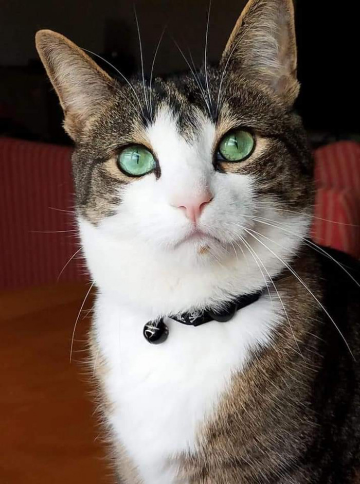 "He runs the whole show. He's a beautiful companion."