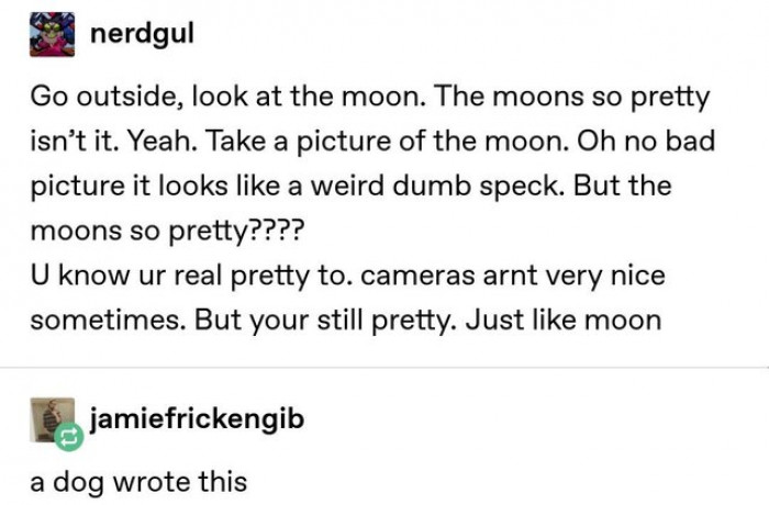 7. Dog perspective got me like...