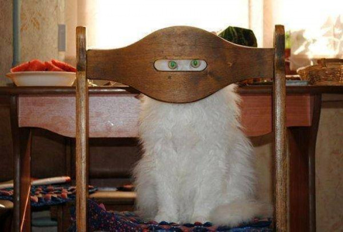 13. "Well, Clarice, have the lambs stopped screaming?"