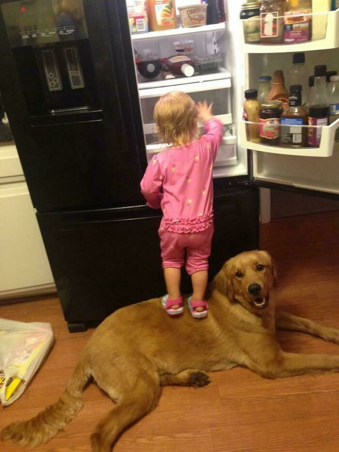 7. Help me, and we'll split the loot equally