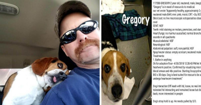 This Dog Was Saved From Death Row And He Couldn't Wait To Thank His Saviour