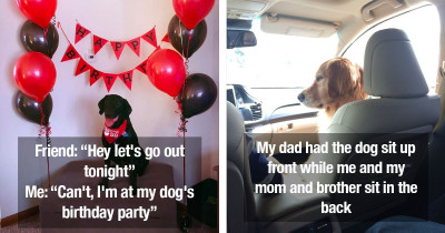Dogs Tweeted About Specifically for People Who Love Pups More Than People