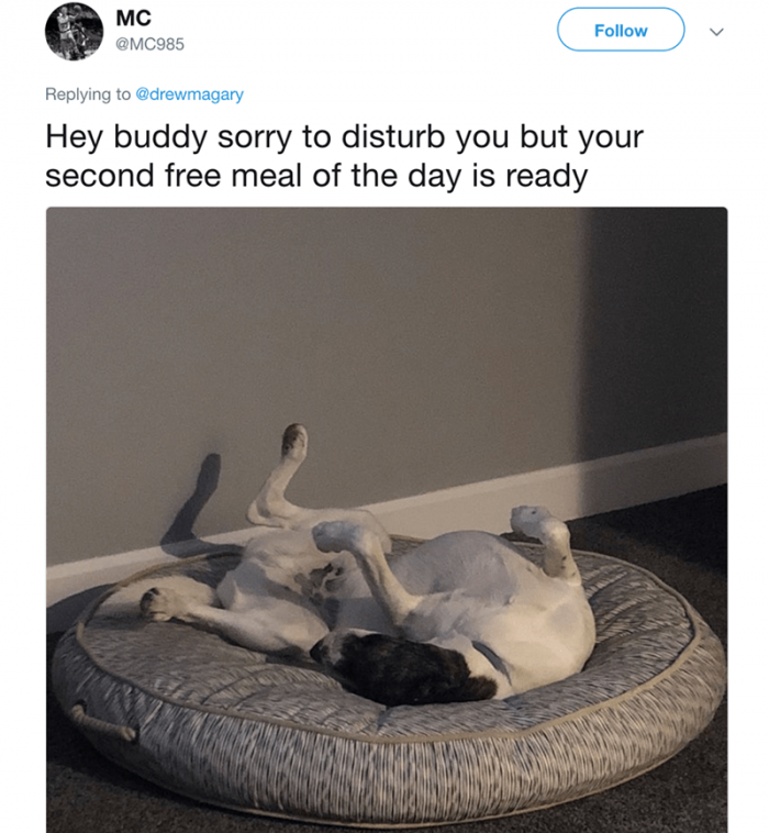 13. Only two free meals a day? What is this, poverty?