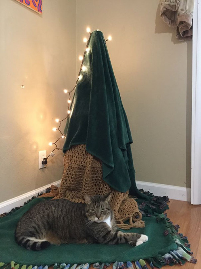 #18 Our Cat Proof And Environmentally Conscious Christmas Tree. Turn A Tomato Cage Upside Down, Add A Blanket, And Laugh At The Situation