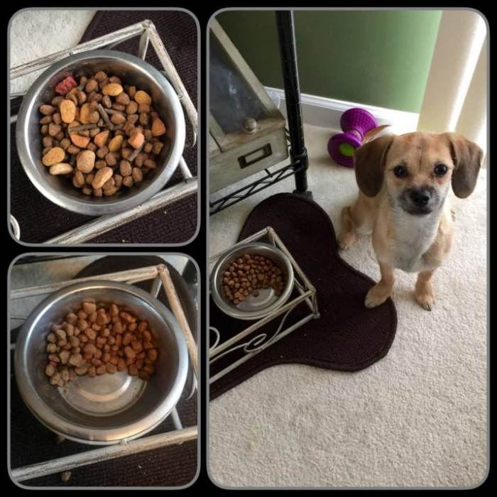 I ate all of the stuff I wanted. You can't trick me.