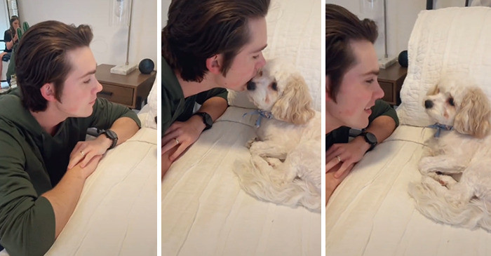 Cute dog