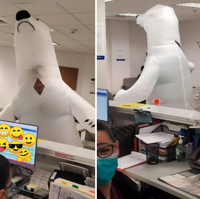 #5 This Guy Didn't Have A Mask, So He Came To The Orthopedist As A Polar Bear