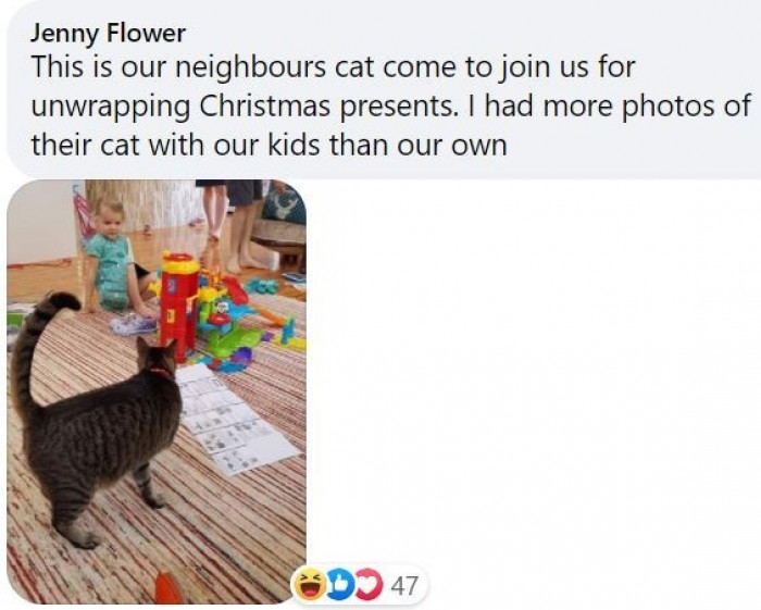 6. This little kitty wanted to join in on the fun at the neighbor's house and help them unwrap the Christmas presents.