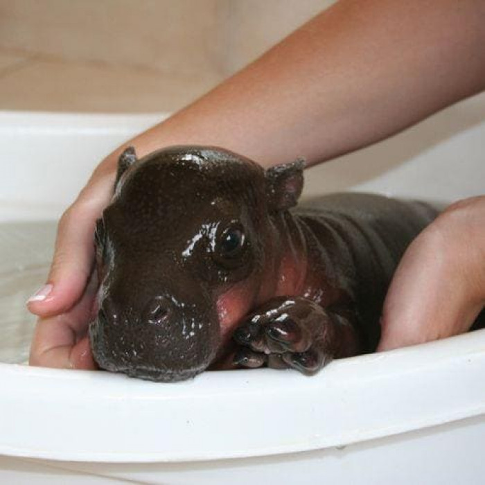 16. It's spa day.
