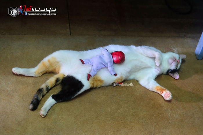 3. Nap Time