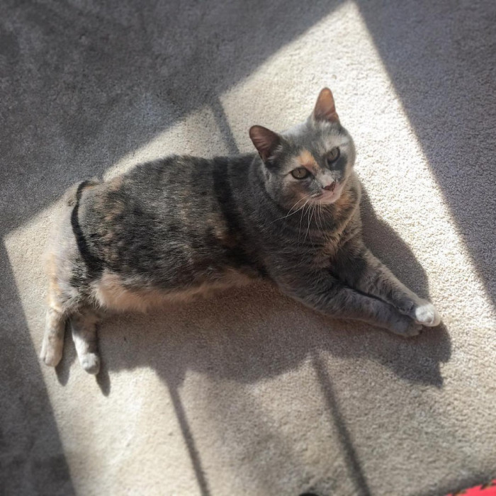 This is Ruby; I'm already in love with how elegant she is.