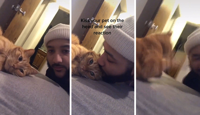 SMACK