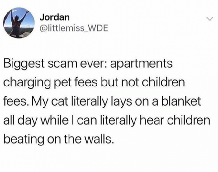 12. Cats > Kids