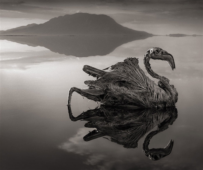 Deadly salt lake in Africa, with shimmering white mineral crust across water