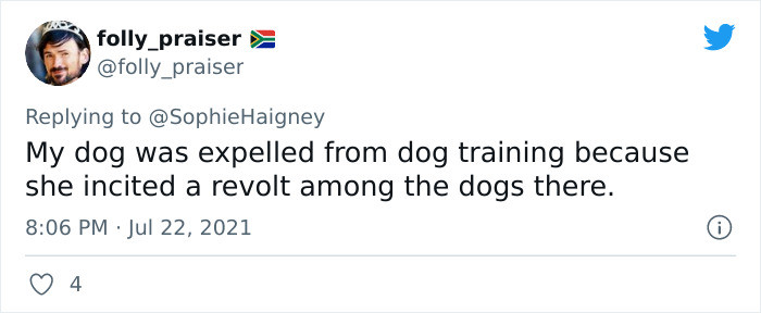 30. These dogs need to learn how to supress their revolutionary urges