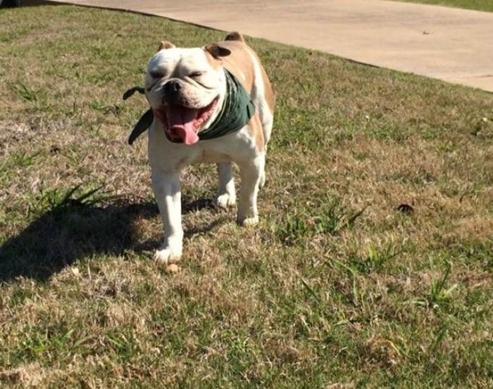 How Could You Not Fall in Love with That Sweet Face?