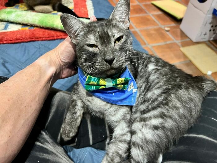 Including this handsome boy.