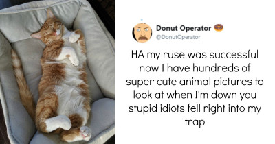 This Guy Has A Clever Way To "Trick" People Into Sending Pictures Of Their Pets