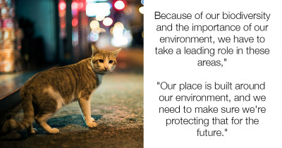 Harsh New Cat Control Laws Surface in Australia and Will Cause Significant Change for Residents