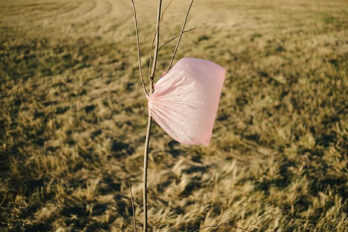 The next day, when this employee showed up for work, he found out he was fired.