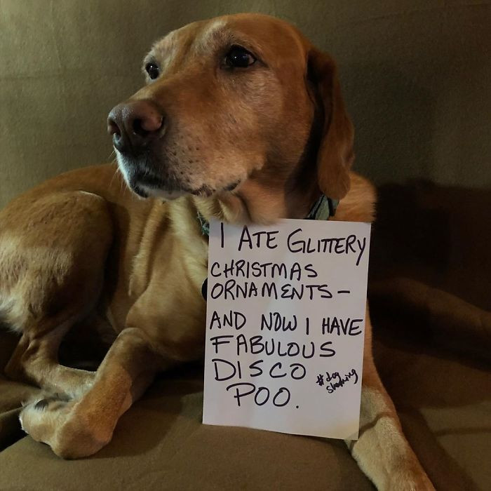 11. "Well, Pete Wasn’t Such A Good Boy Today"
