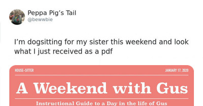 Woman Asks Her Sister To Look After Her Dog For A Weekend And Sends A PDF Instruction On How To Do It Right
