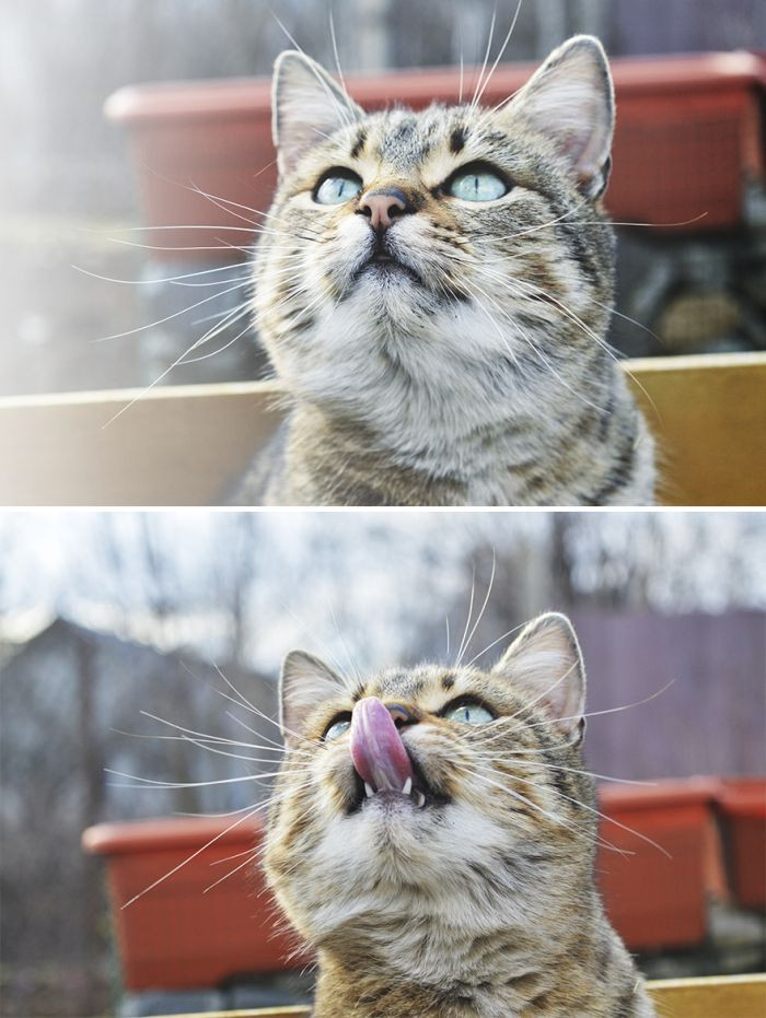 10. The sky looks yummy.