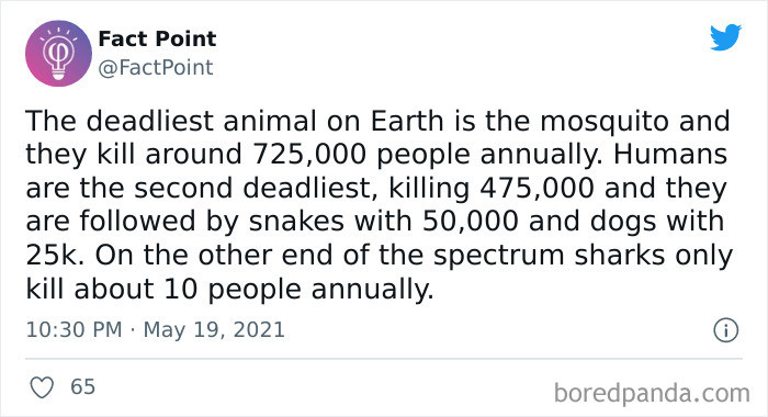 20. Ranking the Deadliest Animals on Earth.