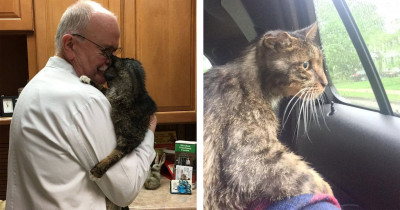 Senior Kitty Finds His Forever Home At 15-Years-Old