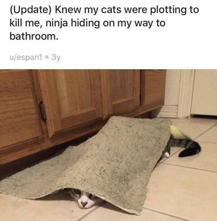 10. Ninja Skills 99/100