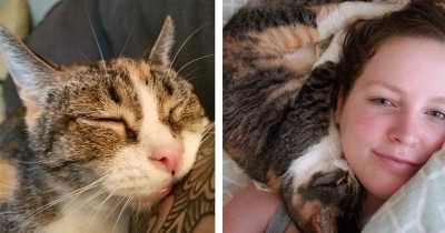 Woman Visited Shelter And Asked For The Cat That Had Been There The Longest