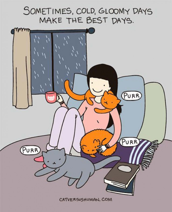 The Days All Cat Lovers Live For