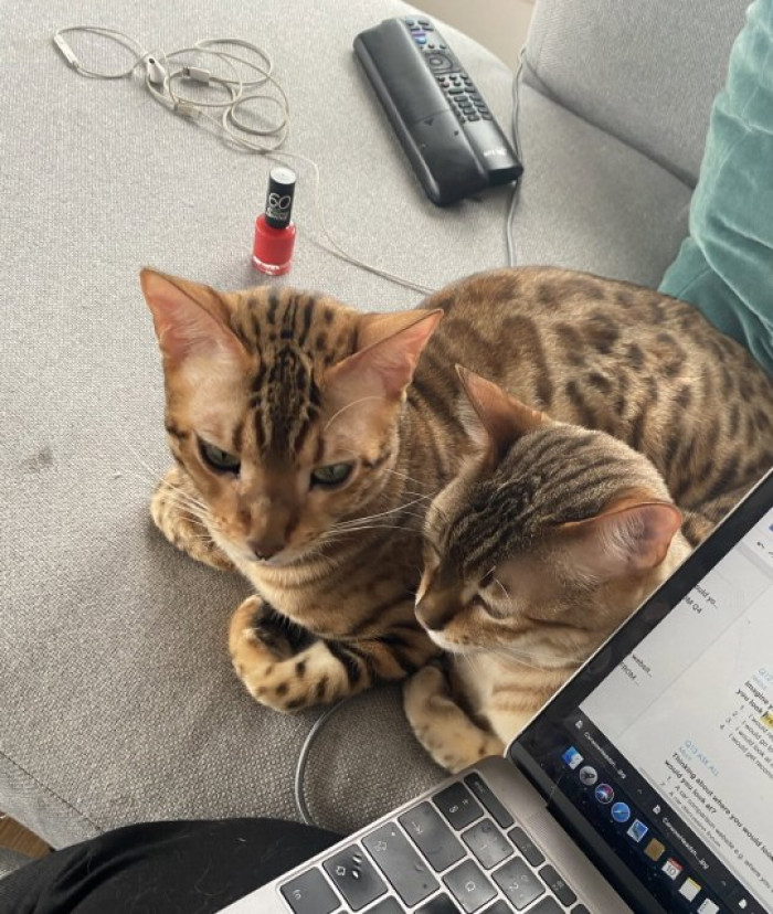10. The Captain and The Bombardier are enjoying the warm laptop