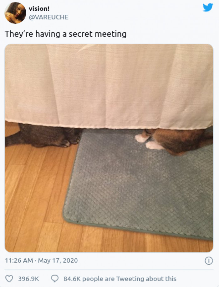 7. They have very important business to attend to.
