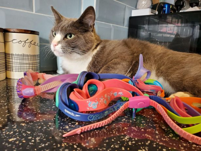 Sally is a retired nurse from Bristol, and she still has no idea where these goggles her cat brought home are from.