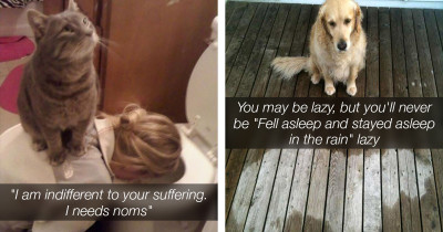 Animals That Really Don't Care About What You Think Of Them