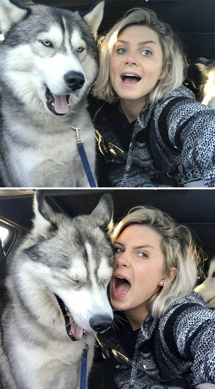 Our furry buddies can be exactly like us sometimes.