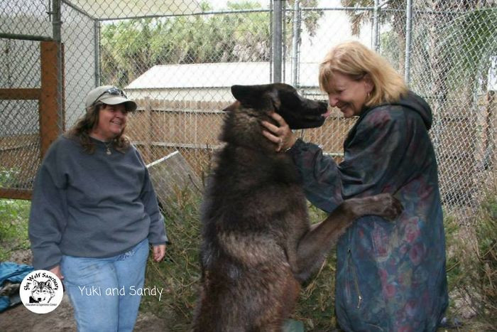 Shy Wolf Sanctuary mission statement sign, reconnecting people and animals through education